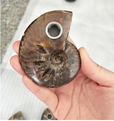 Fossilized Ammonite Crystal Pipes 